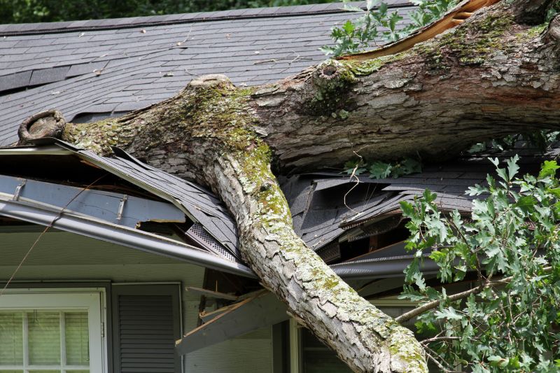 Asphalt Roofing Service in Framingham, MA