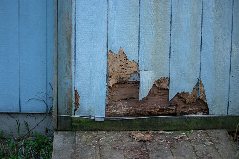 Type of Wood Siding